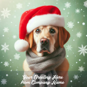 Doggy Xmas Front Personalised