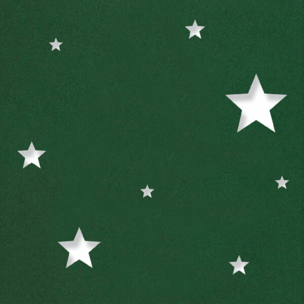 contemporary stars cactu gr