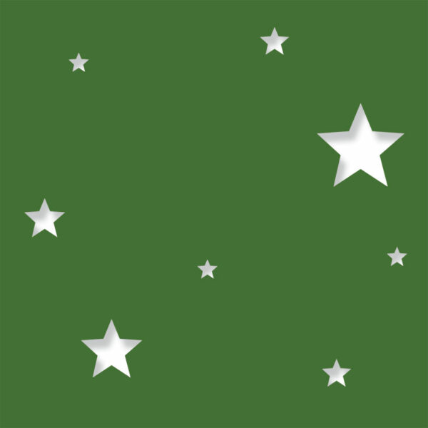 contemporary stars evergree