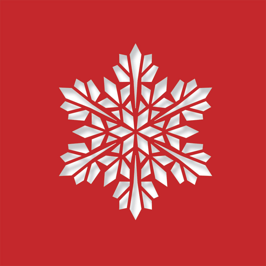 Modern Snowflake - Image 4