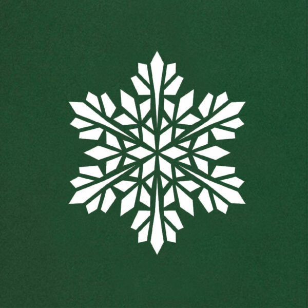 modern snowflake cactus gre