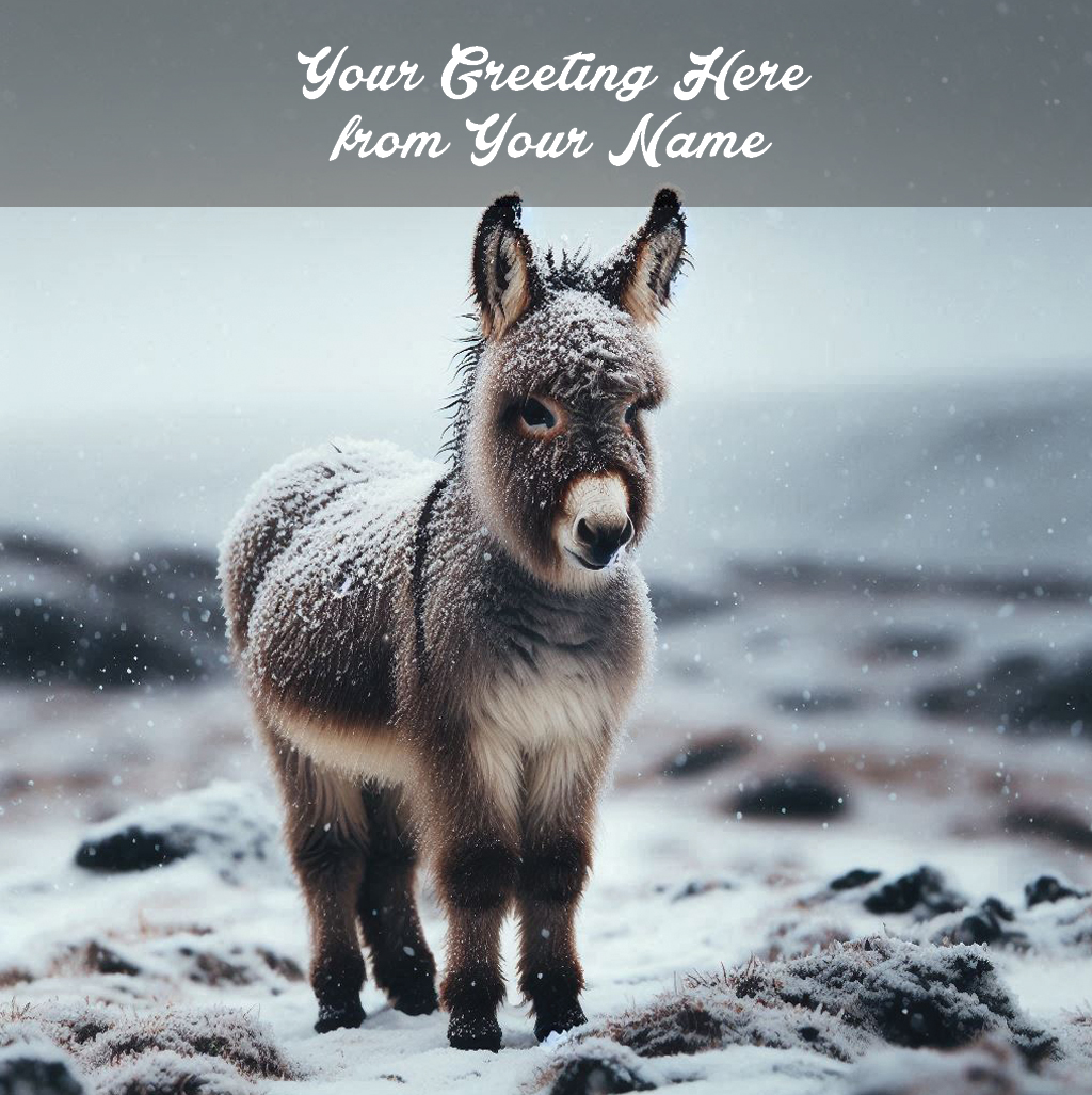 peaceful wander front personalised (copy)